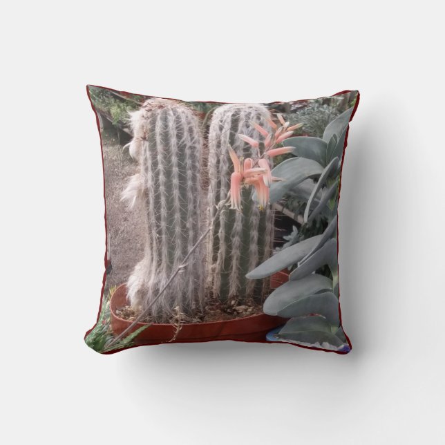 Coussin Jetable Cactus (Recto)
