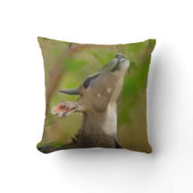 Coussin jeté vache bleue, Coussin jeté 16" x 16"