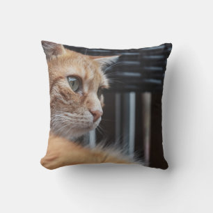Coussin Jeter l'oreiller 16 po x 16 po