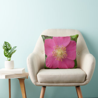 Coussin Jeter L'Oreiller Avec L'Image De Rose Rose Rose Cl