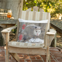 Jeter Opossum Opossum Nature