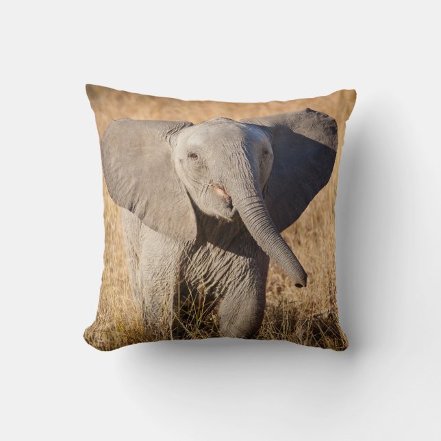 Coussin Jeune éléphant de savane (Recto)