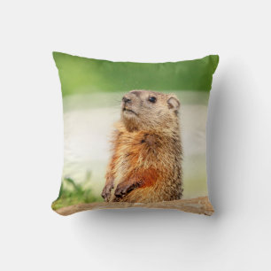 Coussin Jeune marmotte