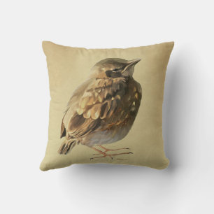 Coussin Jeune merle noir