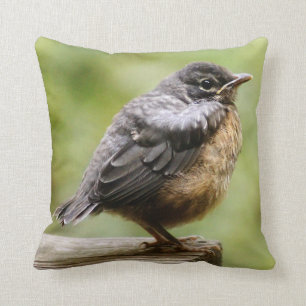 Coussin Jeune Robin