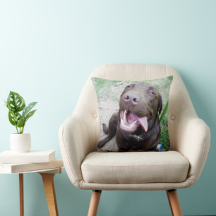 Coussin Joies Idiotes : chiot Labrador marron au chocolat,