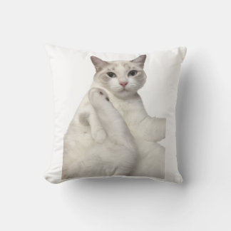 Coussin Joli Chat Blanc qui Nettoie sa Patte Amusant pour