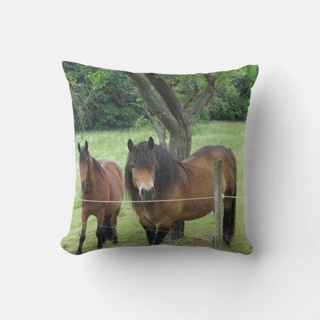 Coussin Joli cheval (Recto)
