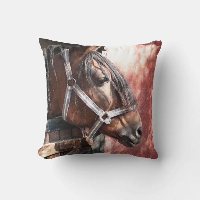Coussin Joli Cheval de Baie dans un soleil stable (Recto)