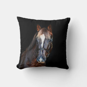 Coussin Joli cheval de poulain noir arrière - plan