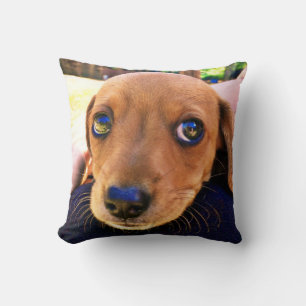 Coussin Joli chien chiot Brown Dachshund