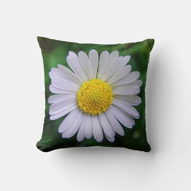 Coussin Joli Daisy (Recto)