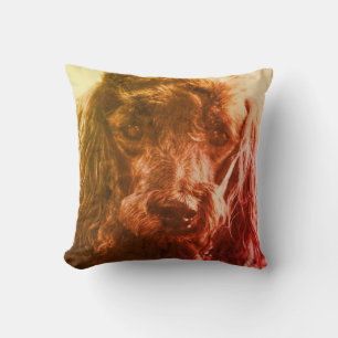 Coussin Joli oeil visage de chien de caniche