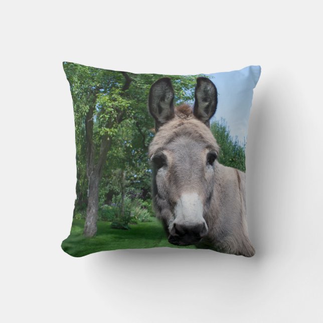 Coussin Joli portrait d'âne (Recto)