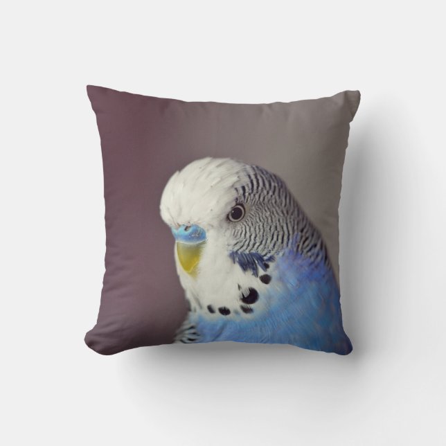 Coussin Jolie photo Blue Budgie (Recto)