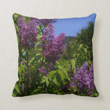Jolie scène naturelle des fleurs de Lilac