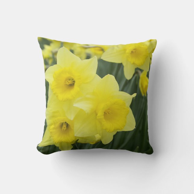 Coussin Jonquilles RF) (Recto)
