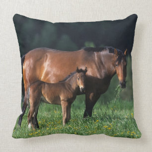 Coussin Jument et poulain 1 de pur sang