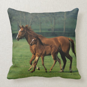 Coussin Jument et poulain 3 de pur sang