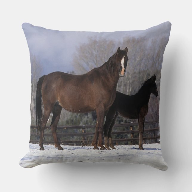 Coussin Jument et poulain arabes dans la neige (Recto)