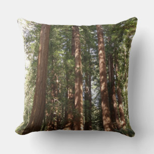 Coussin Jusqu'aux séquoias II à Muir Woods National Monume