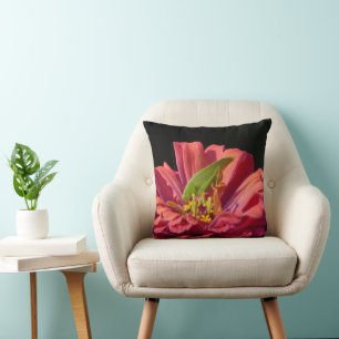 Coussin Katydid sur Zinnia