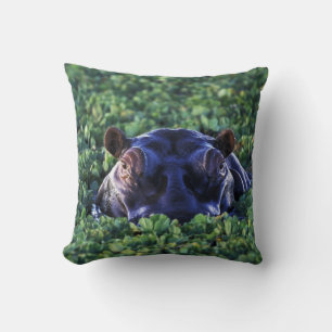 Coussin Kenya, réserve nationale du Masai Mara.