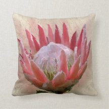 King Protea