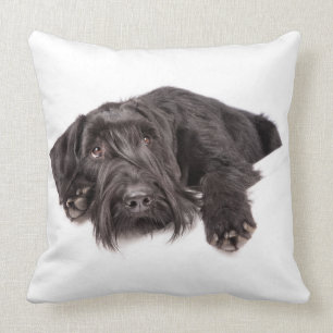 Coussin Kissen Riesenschnauzer