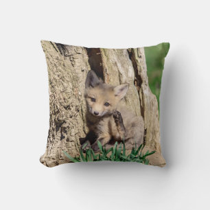 Coussin Kit Fox dans la vallée de l'Hudson