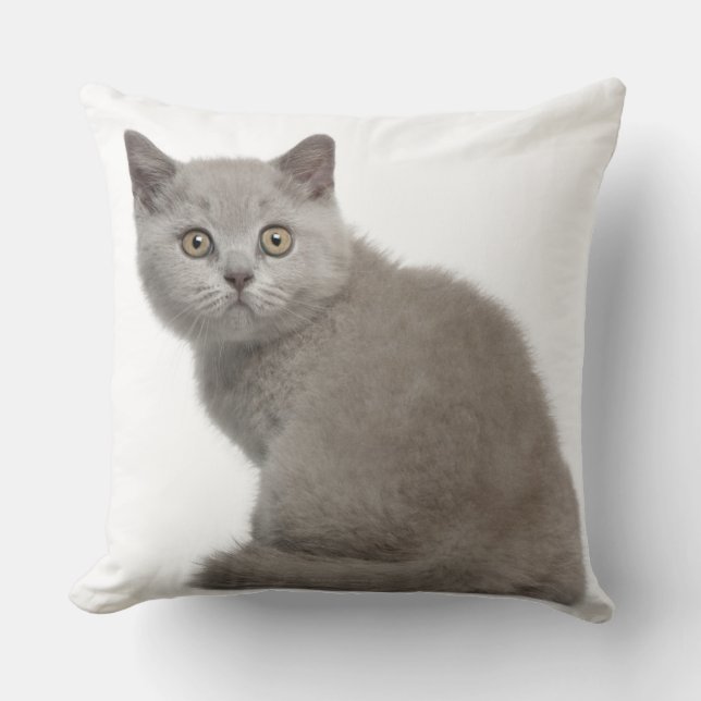 Coussin Kitten de Shorthair britannique (10 semaines) (Recto)