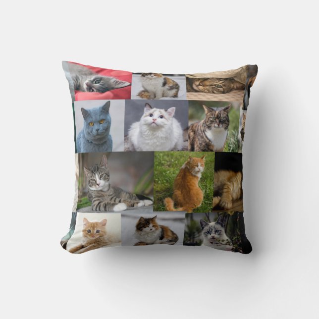 Coussin Kitties partout (Recto)