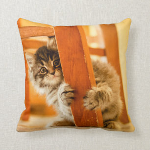 Coussin Kitty sous la chaise