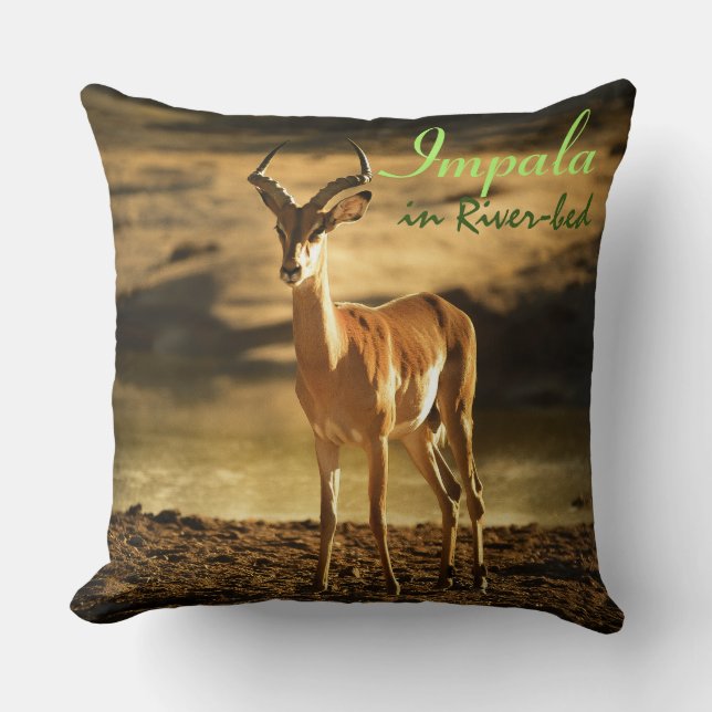 Coussin La faune africaine Impala dans le lit de la rivièr (Recto)