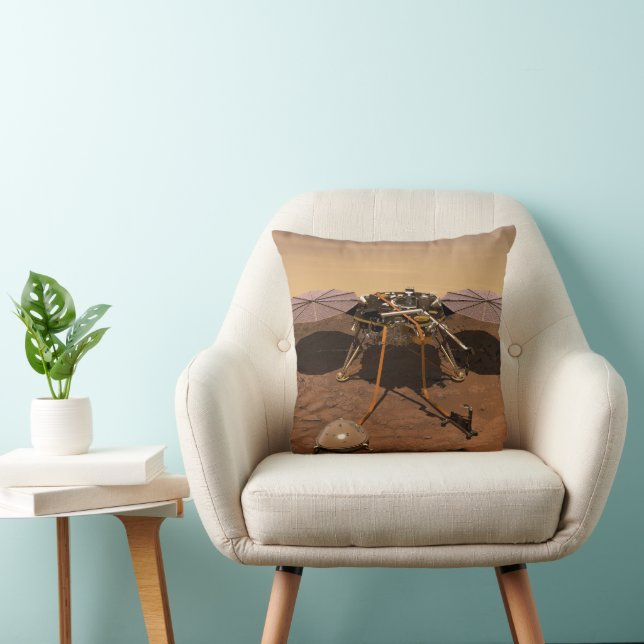 Coussin La Landre D'Insight Fonctionnant Sur La Surface De (Chaise)