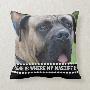 Coussin La maison de citation de chien de mastiff de photo