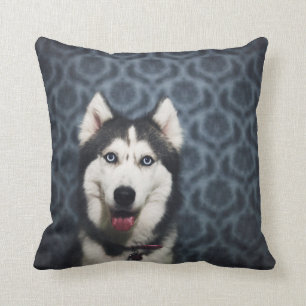 Coussin La marionnette branchée brille d'un fond noir