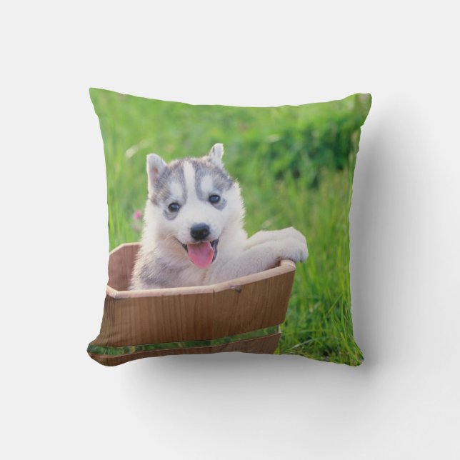 Coussin La marionnette sibérienne Husky dans un pot (Recto)