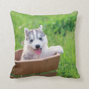 Coussin La marionnette sibérienne Husky dans un pot