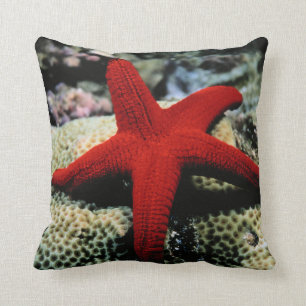 Coussin La Mer Rouge des poissons   d'étoile