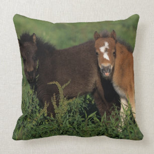 Coussin La miniature pouline dans l'herbe