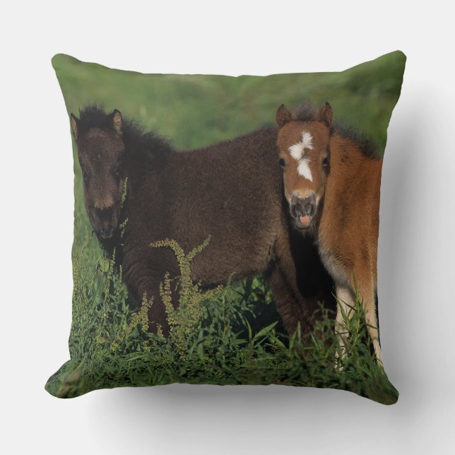 Coussin La miniature pouline dans l'herbe (Recto)