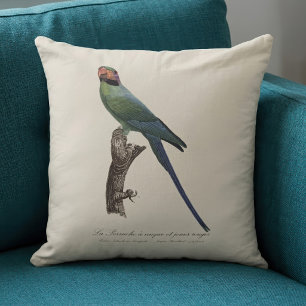 Coussin La Perruche à nuque et joues rouges 