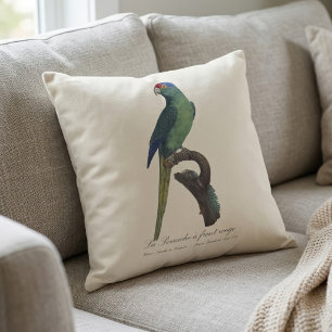 Coussin La Perruche un front rouge