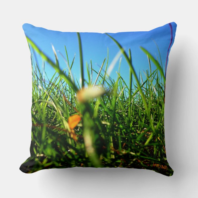 Coussin La pilule d'herbe de tournesol (Recto)