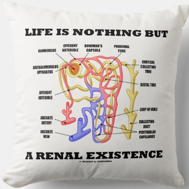 Coussin La vie n'est rien mais une existence rénale (le (Kidney's nephron throw pillow with the nephrology sentiment "Life Is Nothing But A Renal Existence")