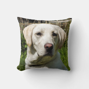 COUSSIN LABRADOR DOG