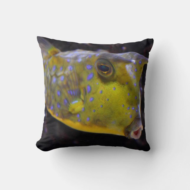 Coussin Lactoria cornuta (Recto)