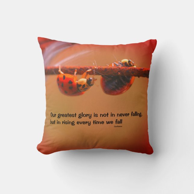 Coussin Ladybugs Attitude Inspiration Confucius Citation (Recto)