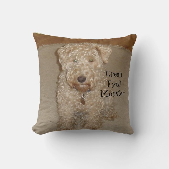 Coussin Lakeland (Recto)